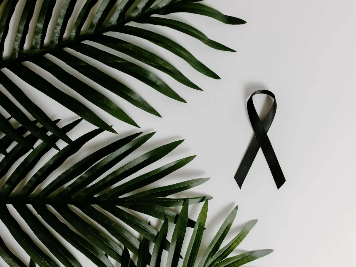 A black awareness ribbon on a white surface beside green palm leaves