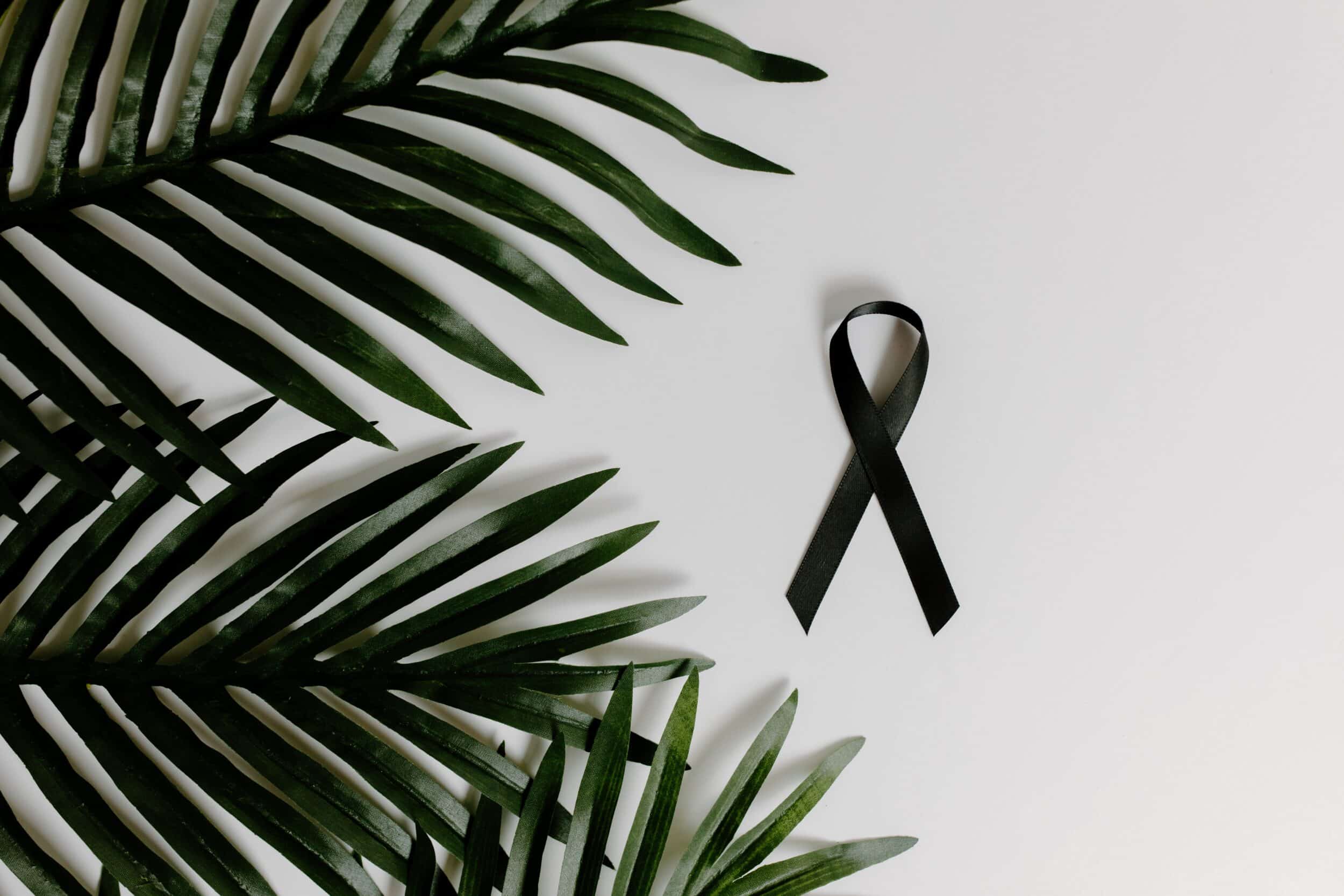 A black awareness ribbon on a white surface beside green palm leaves